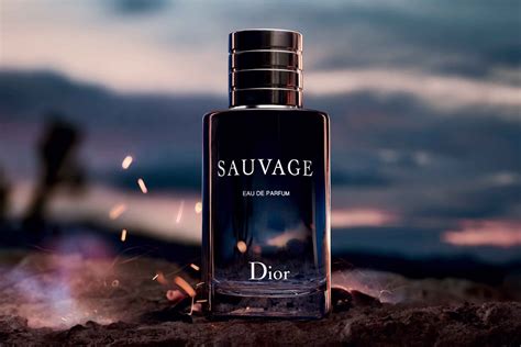 dior sauvage eau onlineshops & geschäfte|dior sauvage best price.